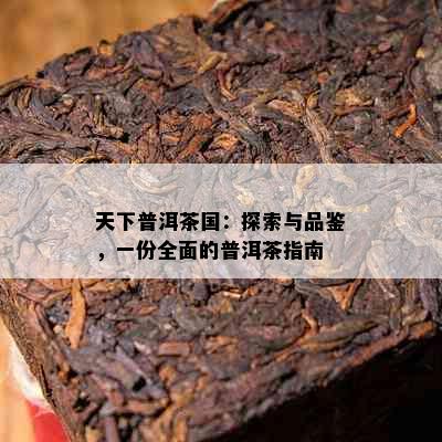 天下普洱茶国：探索与品鉴，一份全面的普洱茶指南