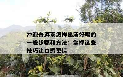 冲泡普洱茶怎样出汤好喝的一般步骤和方法：掌握这些技巧让口感更佳