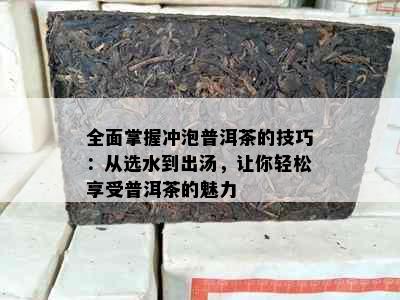 全面掌握冲泡普洱茶的技巧：从选水到出汤，让你轻松享受普洱茶的魅力