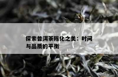 探索普洱茶陈化之美：时间与品质的平衡