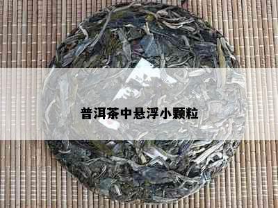 普洱茶中悬浮小颗粒