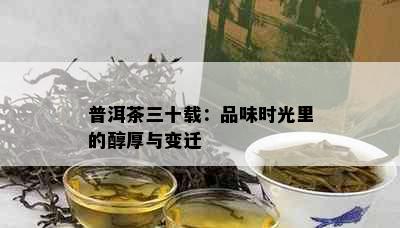 普洱茶三十载：品味时光里的醇厚与变迁