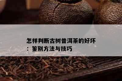 怎样判断古树普洱茶的好坏：鉴别方法与技巧