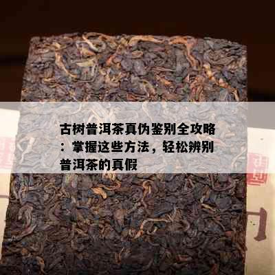 古树普洱茶真伪鉴别全攻略：掌握这些方法，轻松辨别普洱茶的真假