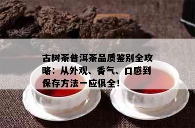 古树茶普洱茶品质鉴别全攻略：从外观、香气、口感到保存方法一应俱全！