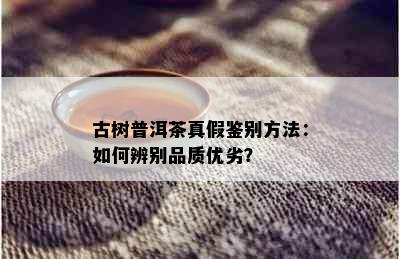 古树普洱茶真假鉴别方法：如何辨别品质优劣？