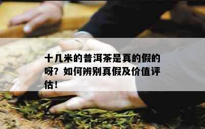 十几米的普洱茶是真的假的呀？如何辨别真假及价值评估！