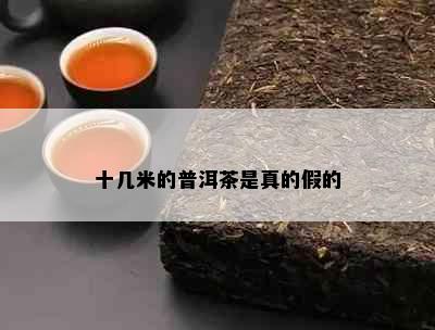 十几米的普洱茶是真的假的