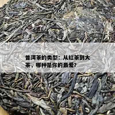 普洱茶的类型：从红茶到大茶，哪种是你的更爱？