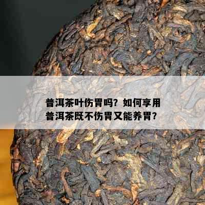 普洱茶叶伤胃吗？如何享用普洱茶既不伤胃又能养胃？