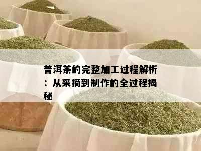 普洱茶的完整加工过程解析：从采摘到制作的全过程揭秘