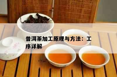 普洱茶加工原理与方法：工序详解