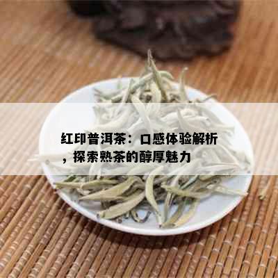 红印普洱茶：口感体验解析，探索熟茶的醇厚魅力