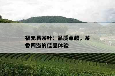 福元昌茶叶：品质卓越，茶香四溢的佳品体验