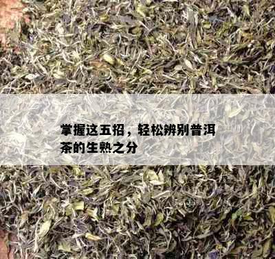 掌握这五招，轻松辨别普洱茶的生熟之分