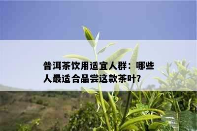 普洱茶饮用适宜人群：哪些人最适合品尝这款茶叶？