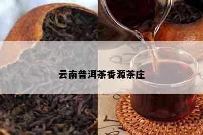 云南普洱茶香源茶庄