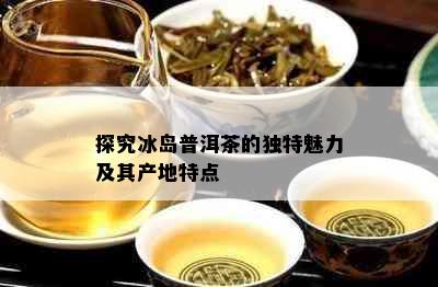 探究冰岛普洱茶的独特魅力及其产地特点