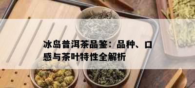 冰岛普洱茶品鉴：品种、口感与茶叶特性全解析