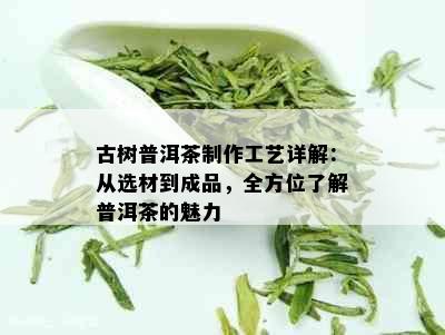 古树普洱茶制作工艺详解：从选材到成品，全方位了解普洱茶的魅力