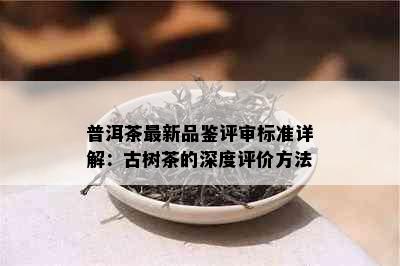 普洱茶最新品鉴评审标准详解：古树茶的深度评价方法