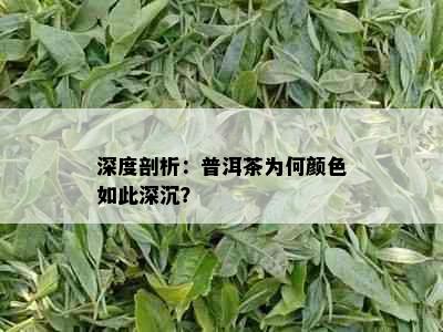 深度剖析：普洱茶为何颜色如此深沉？