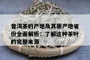 普洱茶的产地及其原产地省份全面解析：了解这种茶叶的完整来源