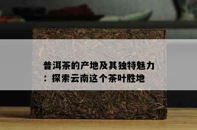 普洱茶的产地及其独特魅力：探索云南这个茶叶胜地