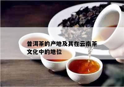 普洱茶的产地及其在云南茶文化中的地位