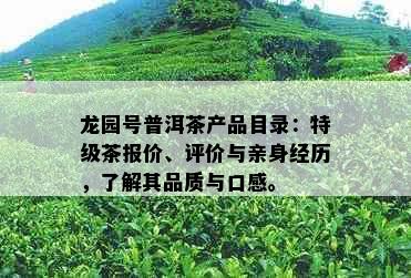 龙园号普洱茶产品目录：特级茶报价、评价与亲身经历，了解其品质与口感。