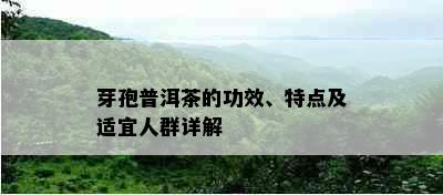 芽孢普洱茶的功效、特点及适宜人群详解