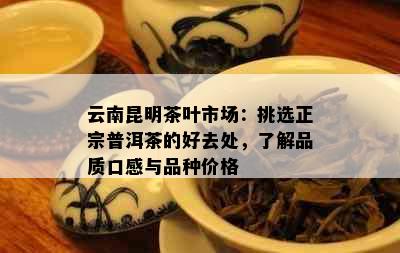 云南昆明茶叶市场：挑选正宗普洱茶的好去处，了解品质口感与品种价格