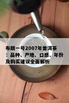 布朗一号2007年普洱茶：品种、产地、口感、年份及购买建议全面解析