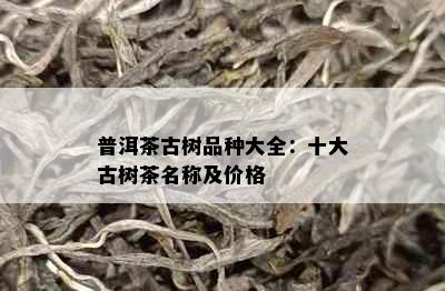 普洱茶古树品种大全：十大古树茶名称及价格