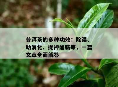 普洱茶的多种功效：除湿、助消化、提神醒脑等，一篇文章全面解答