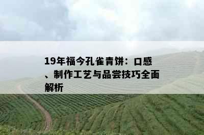 19年福今孔雀青饼：口感、制作工艺与品尝技巧全面解析