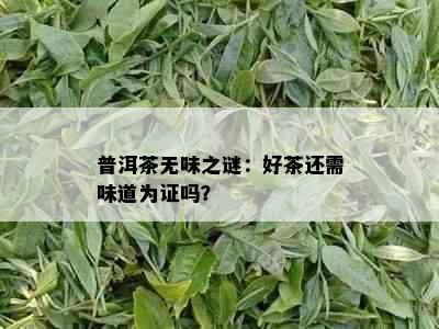 普洱茶无味之谜：好茶还需味道为证吗？