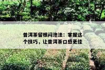 普洱茶留根闷泡法：掌握这个技巧，让普洱茶口感更佳