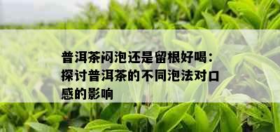 普洱茶闷泡还是留根好喝：探讨普洱茶的不同泡法对口感的影响