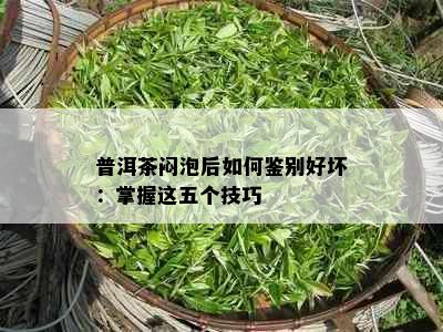 普洱茶闷泡后如何鉴别好坏：掌握这五个技巧