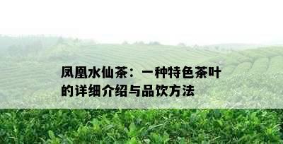 凤凰水仙茶：一种特色茶叶的详细介绍与品饮方法