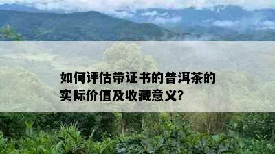 如何评估带证书的普洱茶的实际价值及收藏意义？