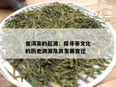 普洱茶的起源：探寻茶文化的历史渊源及其发展变迁