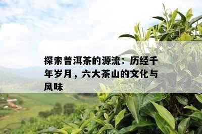 探索普洱茶的源流：历经千年岁月，六大茶山的文化与风味