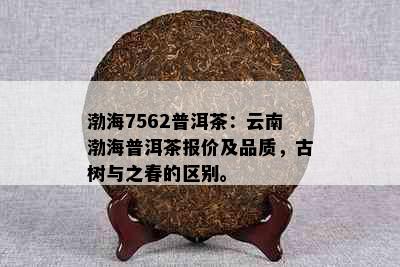 渤海7562普洱茶：云南渤海普洱茶报价及品质，古树与之春的区别。