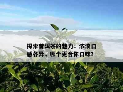 探索普洱茶的魅力：浓淡口感各异，哪个更合你口味？