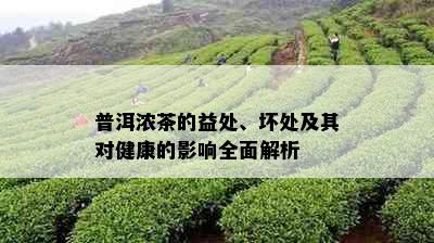 普洱浓茶的益处、坏处及其对健康的影响全面解析