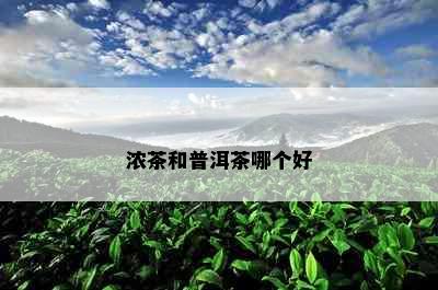 浓茶和普洱茶哪个好