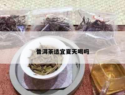 普洱茶适宜夏天喝吗