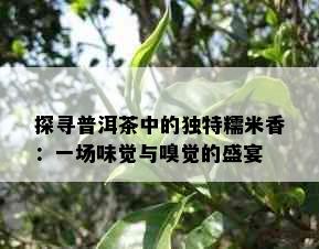 探寻普洱茶中的独特糯米香：一场味觉与嗅觉的盛宴